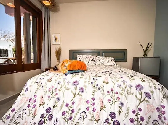 Pixan Bungalows Cozumel 0*,