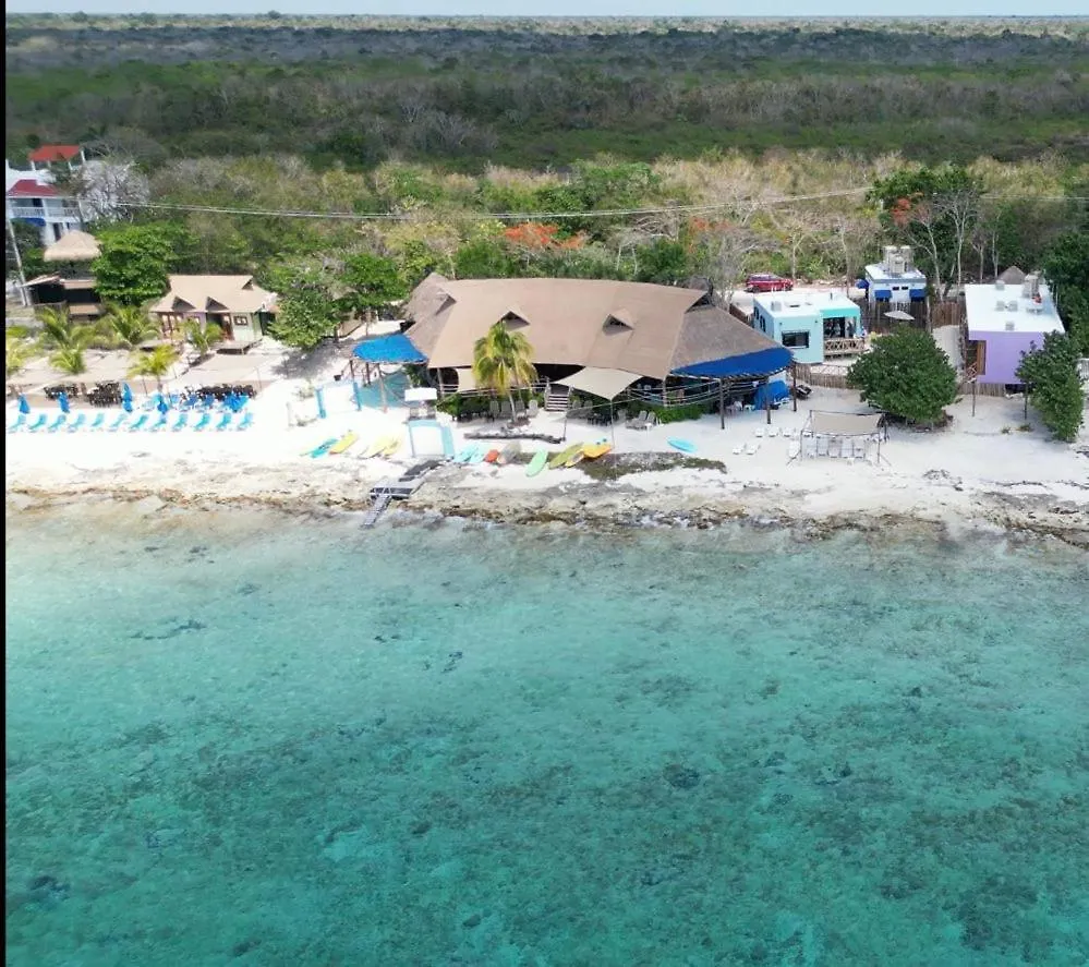 Apartment Pixan Bungalows Cozumel Mexico